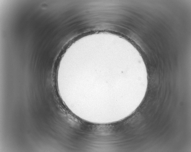 X0000068730832200605121516