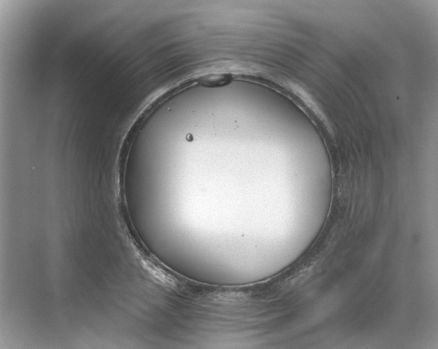 X0000068730837200605121516