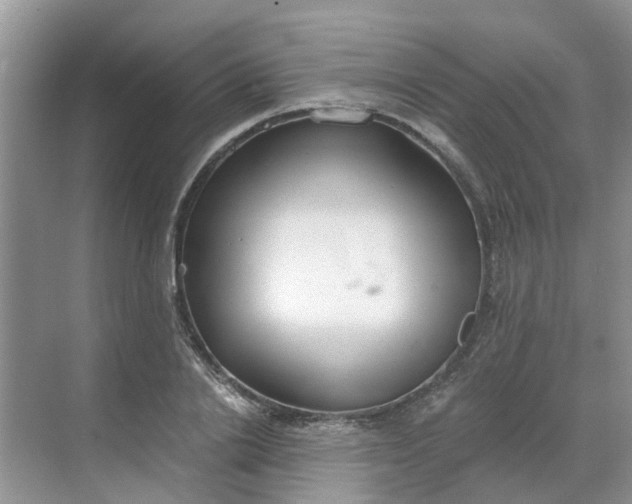 X0000068730838200605121516