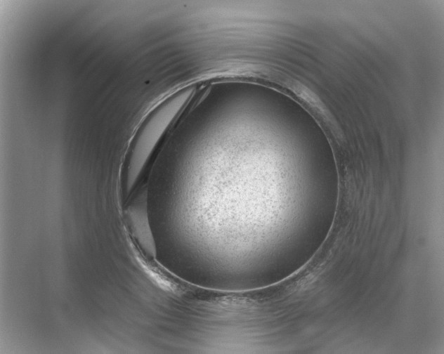 X0000068730842200605121516