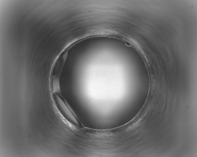 X0000068730843200605121516