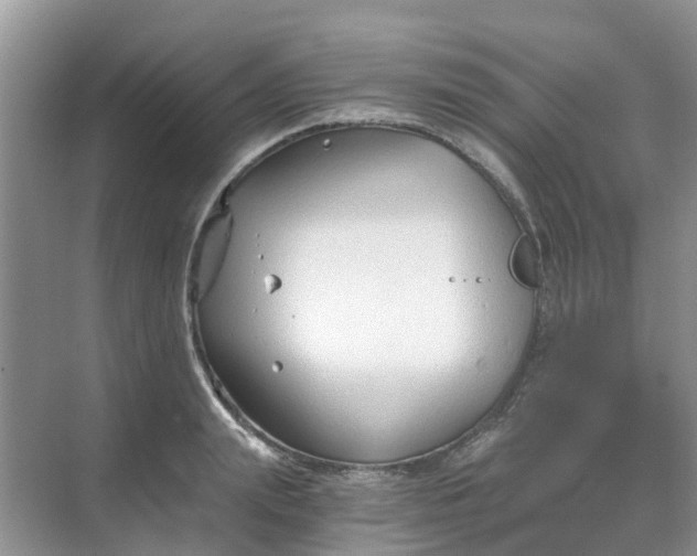 X0000068730847200605121516