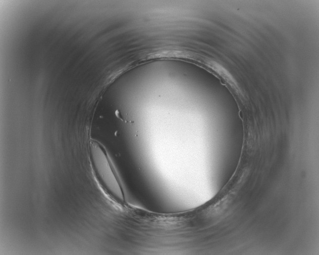 X0000068730849200605121516