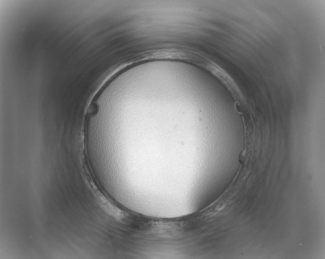 X0000068730852200605121516