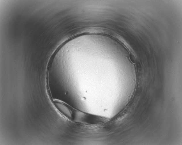 X0000068730853200605121516