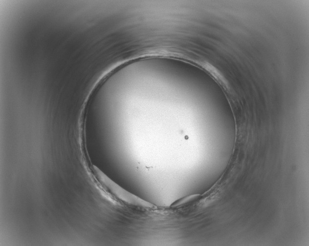 X0000068730854200605121516