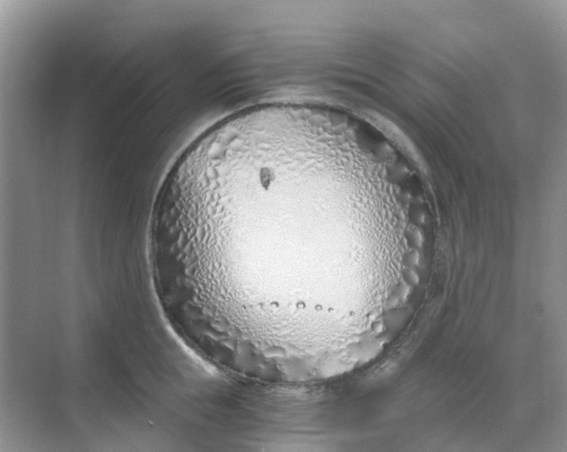 X0000068730855200605121516