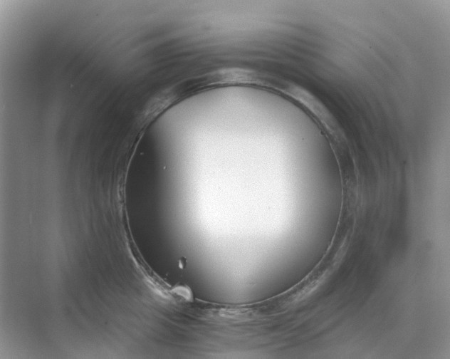 X0000068730857200605121516