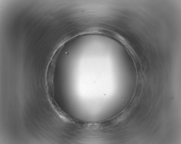 X0000068730858200605121516