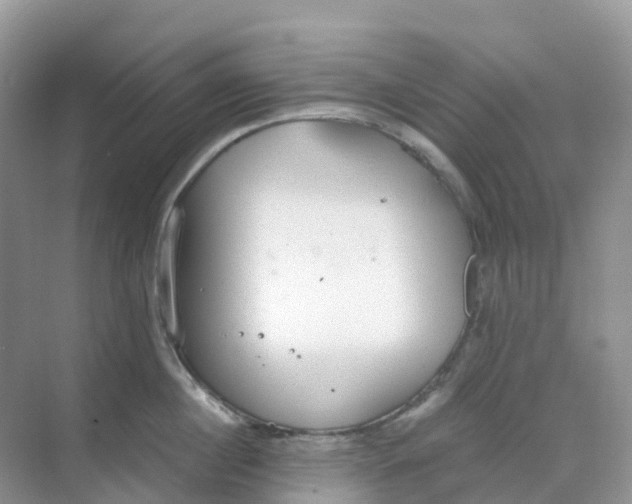 X0000068730860200605121516