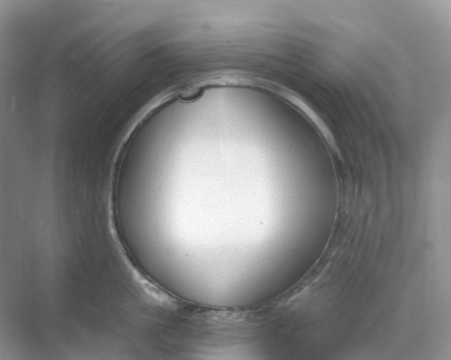 X0000068730861200605121516