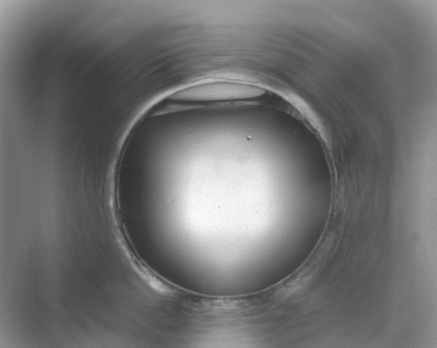 X0000068730862200605121516