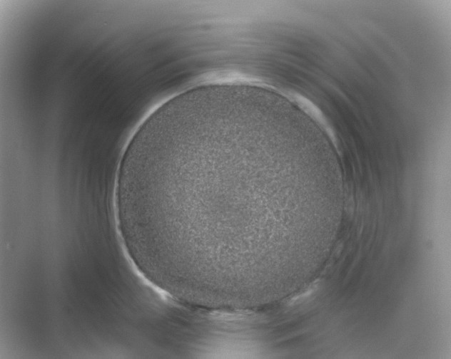 X0000068730863200605121516