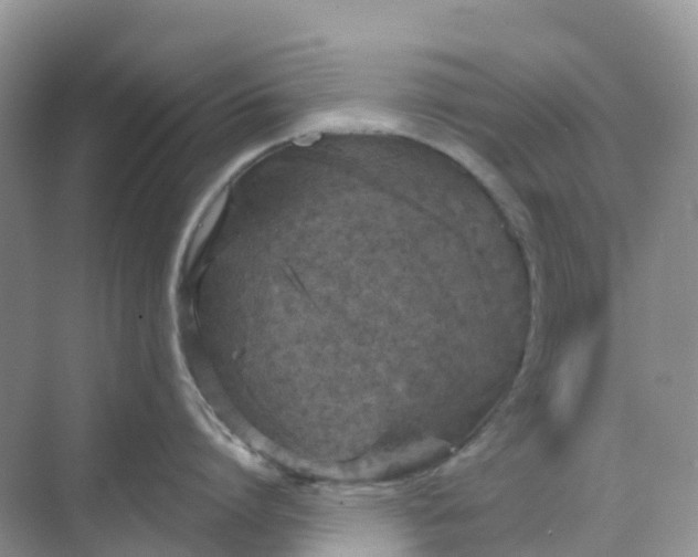 X0000068730864200605121516