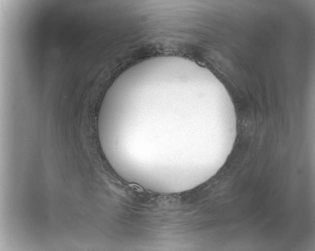 X0000068730865200605121515