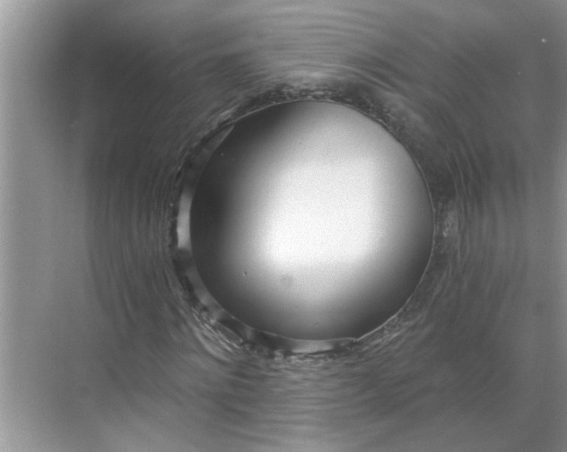 X0000068730868200605121515