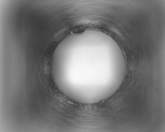 X0000068730869200605121515