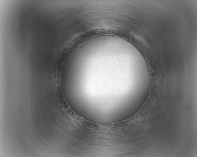 X0000068730870200605121515