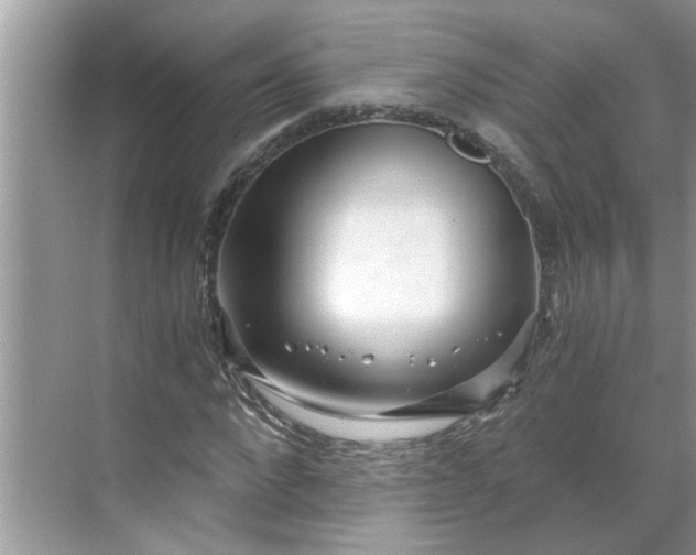 X0000068730872200605121515