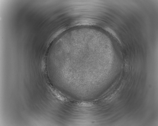 X0000068730874200605121515