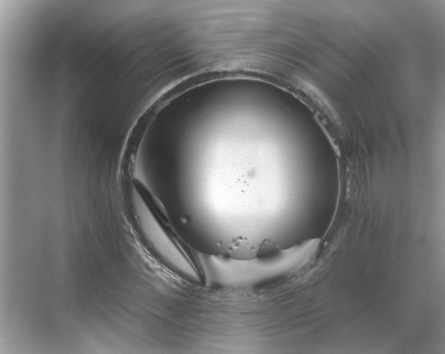 X0000068730876200605121515