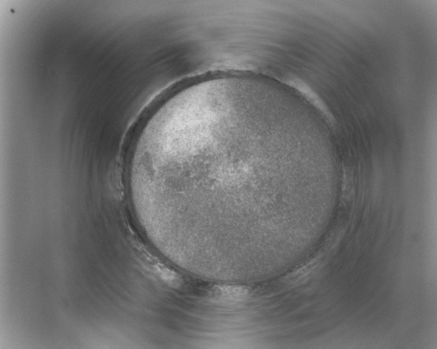 X0000068730878200605121515