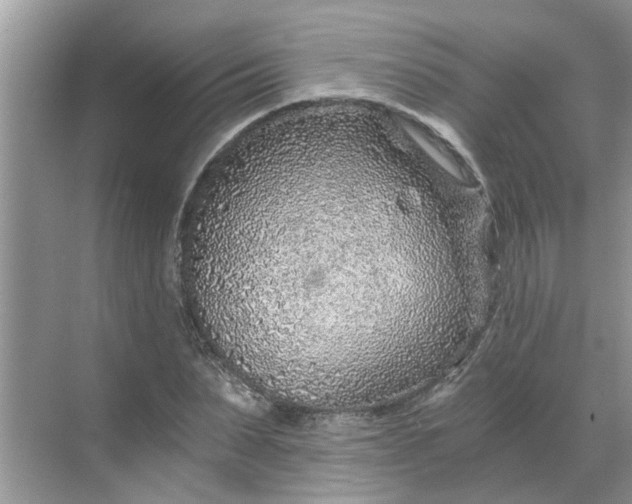 X0000068730879200605121515