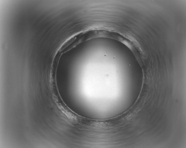 X0000068730880200605121515