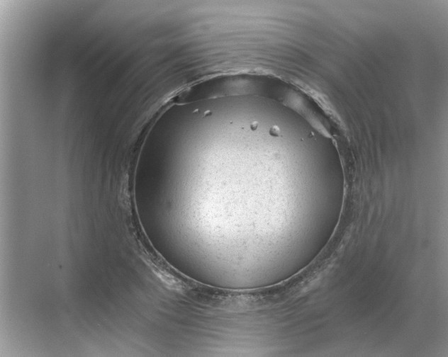 X0000068730881200605121515