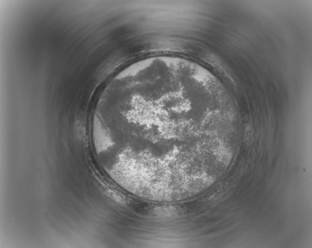 X0000068730882200605121515