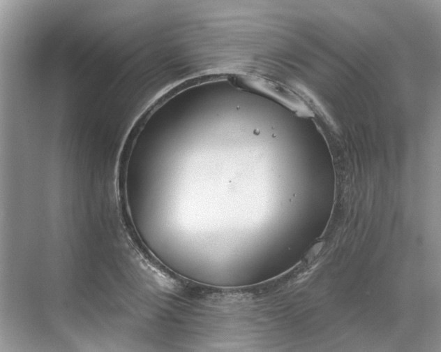 X0000068730884200605121515