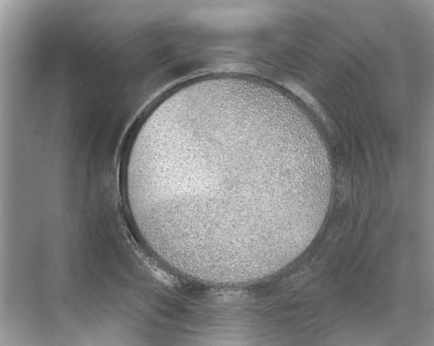 X0000068730886200605121515