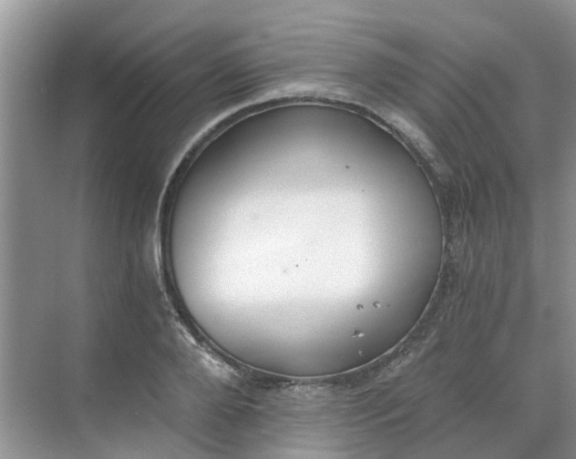 X0000068730888200605121515