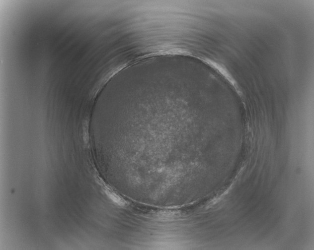 X0000068730889200605121515