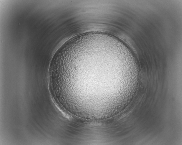 X0000068730890200605121515