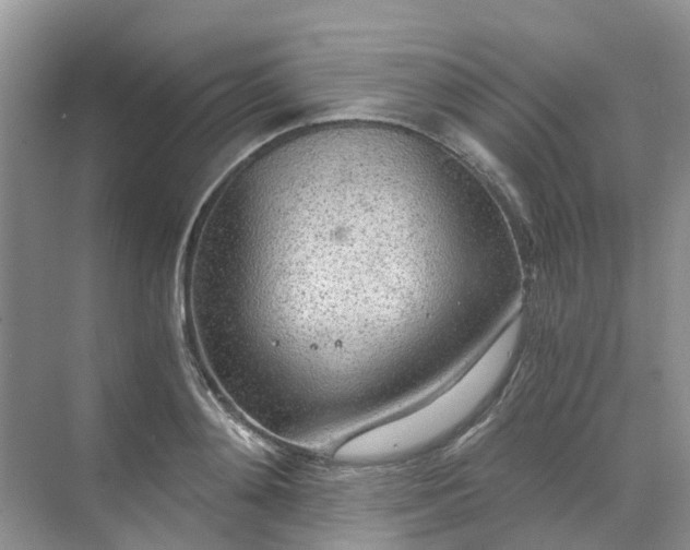 X0000068730892200605121515