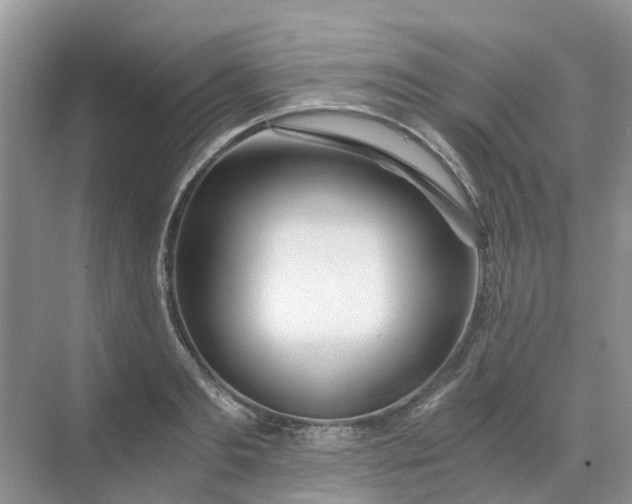 X0000068730893200605121515