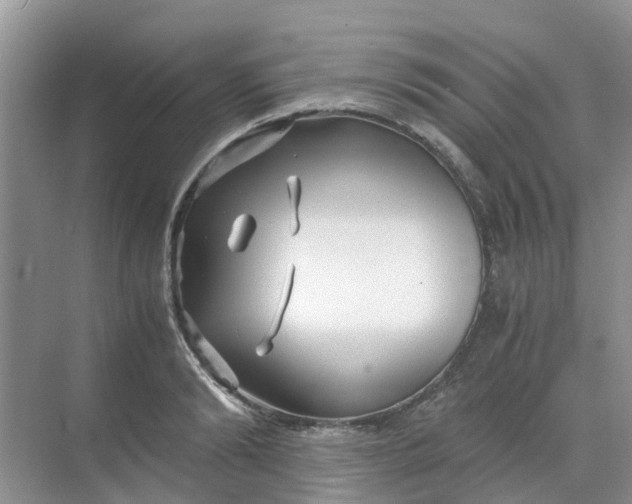 X0000068730894200605121515