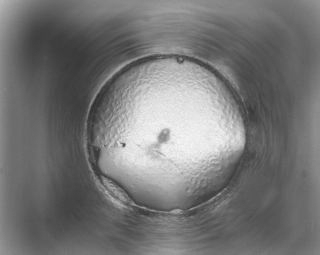 X0000068730895200605121515