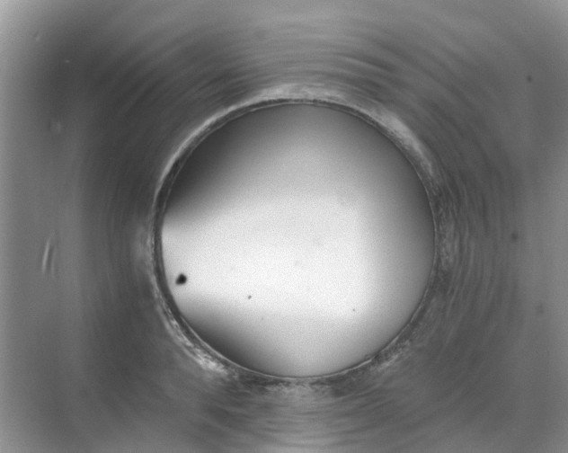 X0000068730896200605121515