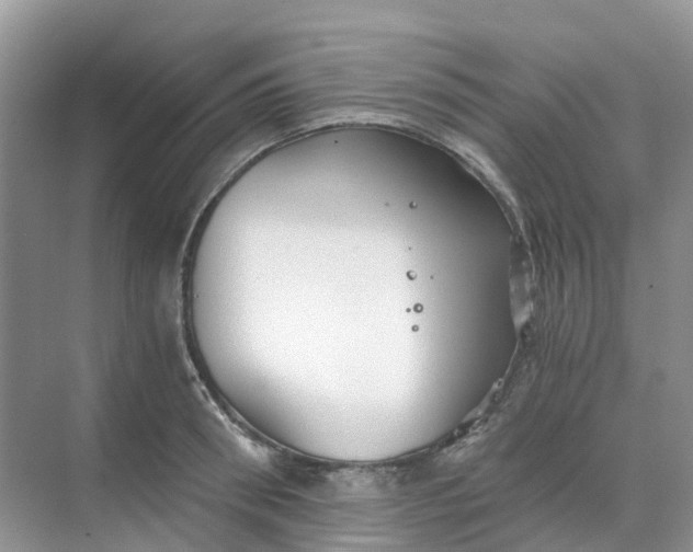 X0000068730898200605121515