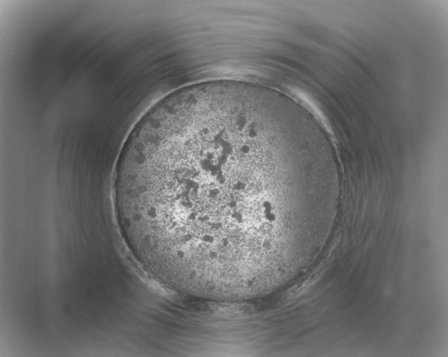 X0000068730899200605121515