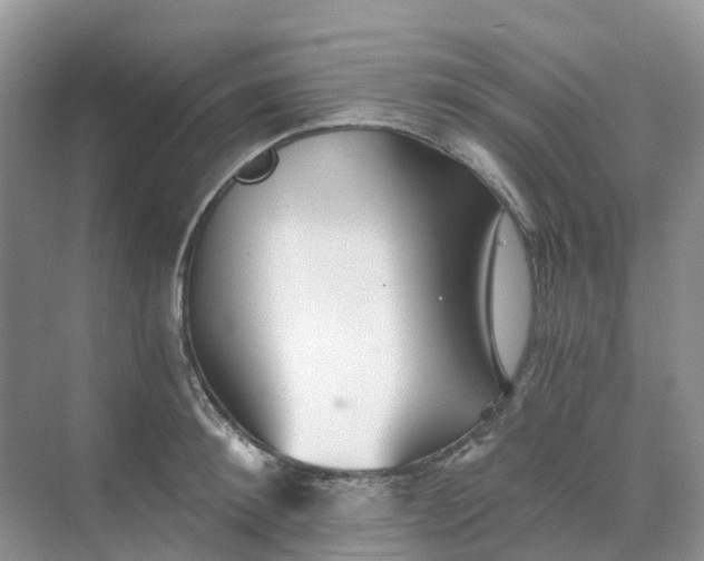 X0000068730900200605121515