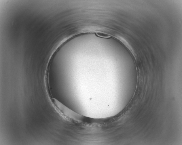 X0000068730901200605121515