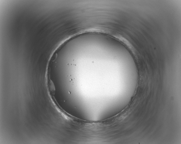 X0000068730902200605121515