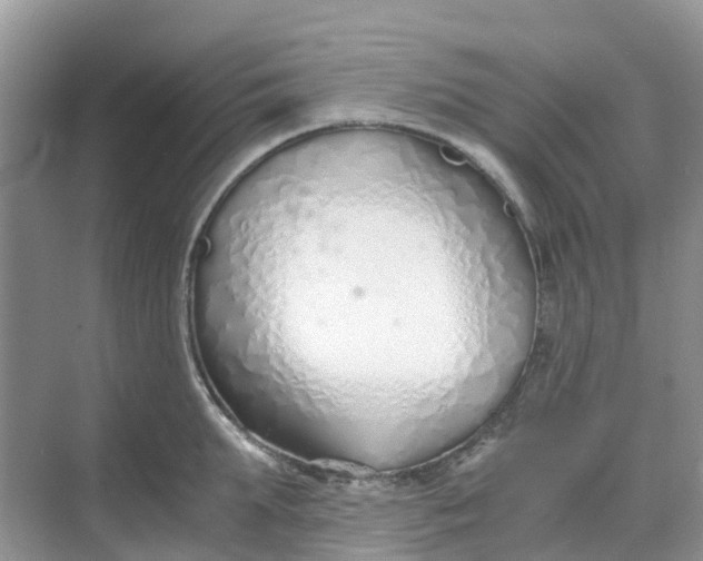 X0000068730903200605121515