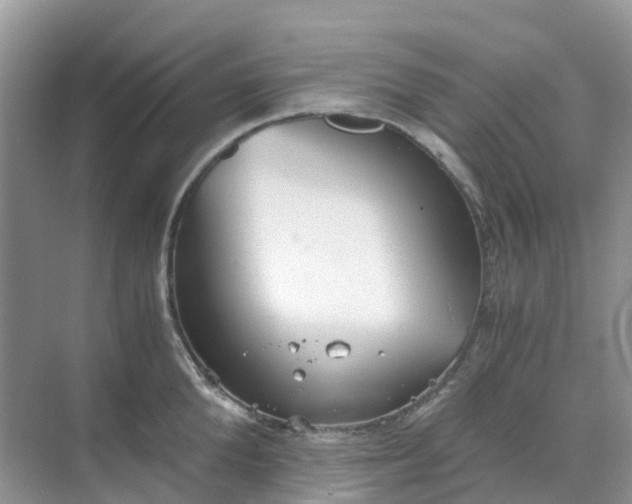 X0000068730904200605121515