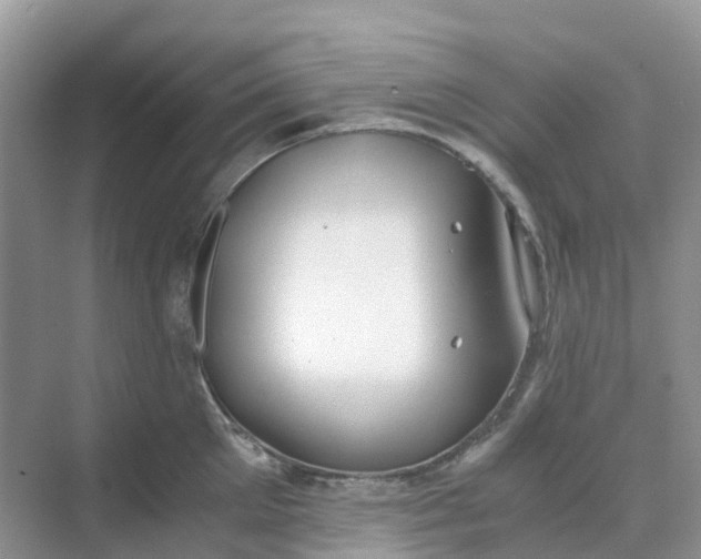 X0000068730905200605121515