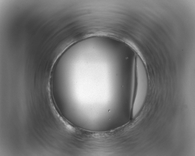 X0000068730906200605121515