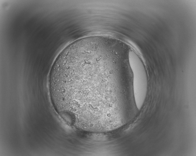 X0000068730907200605121515